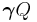 \boldsymbol \gamma Q