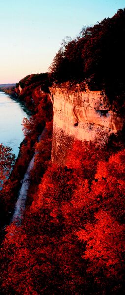 File:Figure 903.11.2.jpg